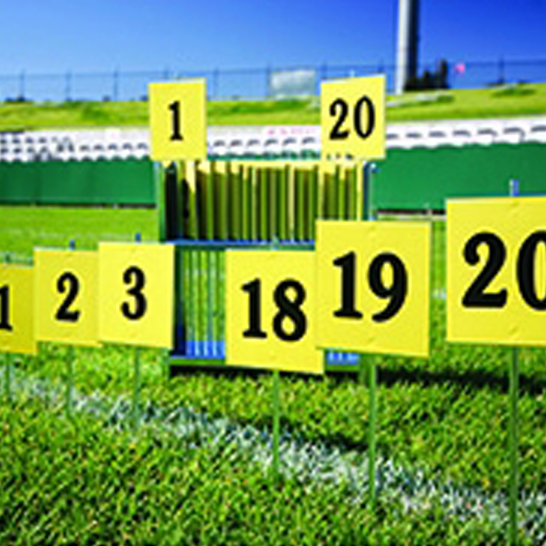 Square Marker Pins (Numbered 1-20 With Stand)