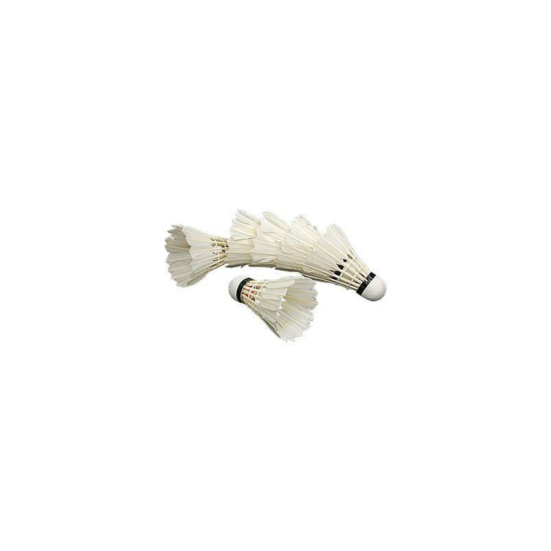 Feather Epsilon 606 Shuttles