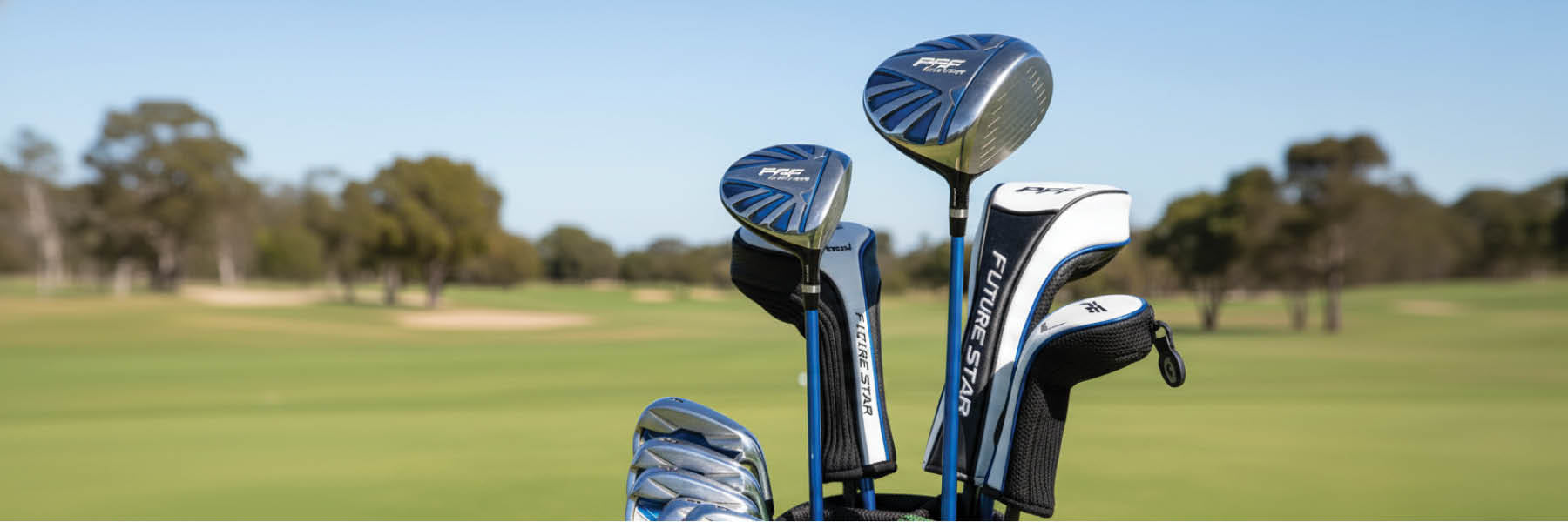 Irons & Drivers