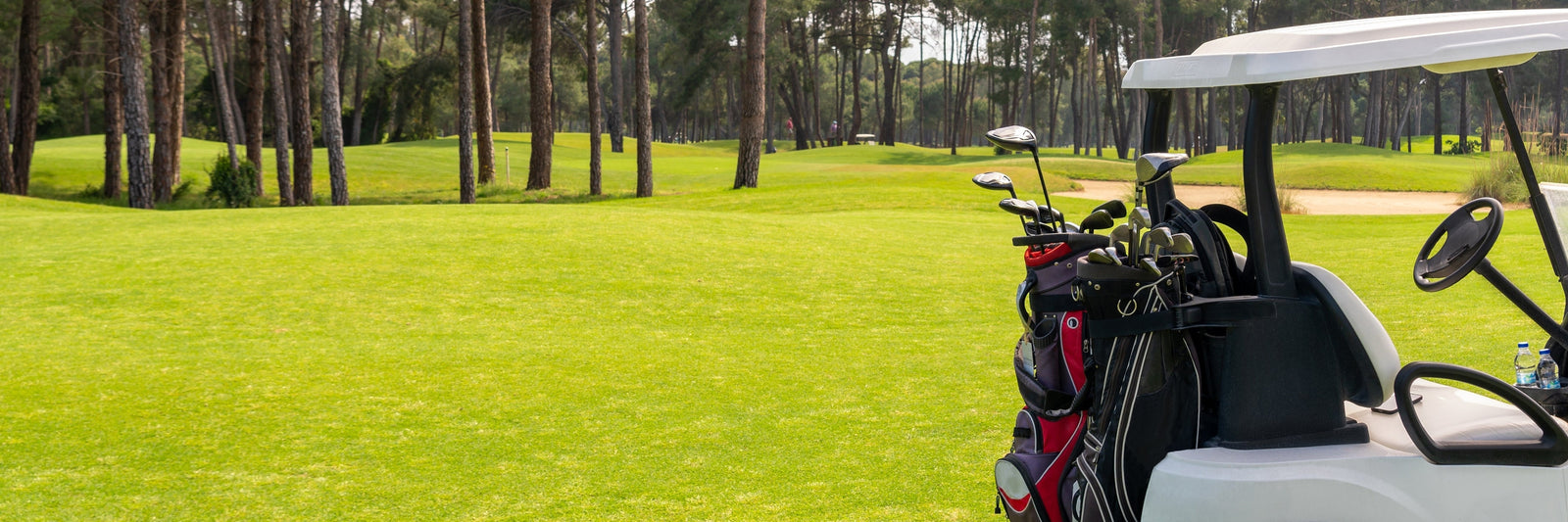 Golf Buggy Accessories