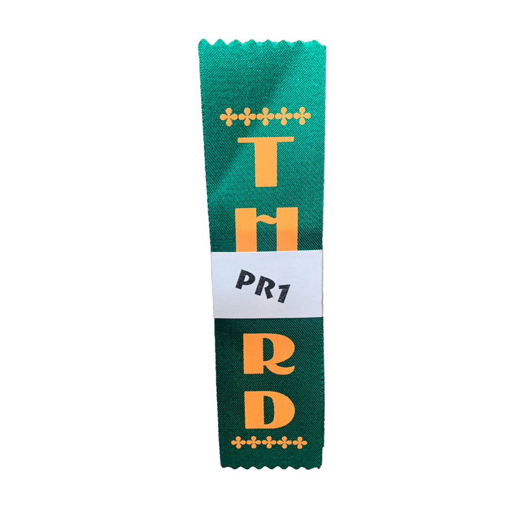Ribbons Placement Awards Pack of 100