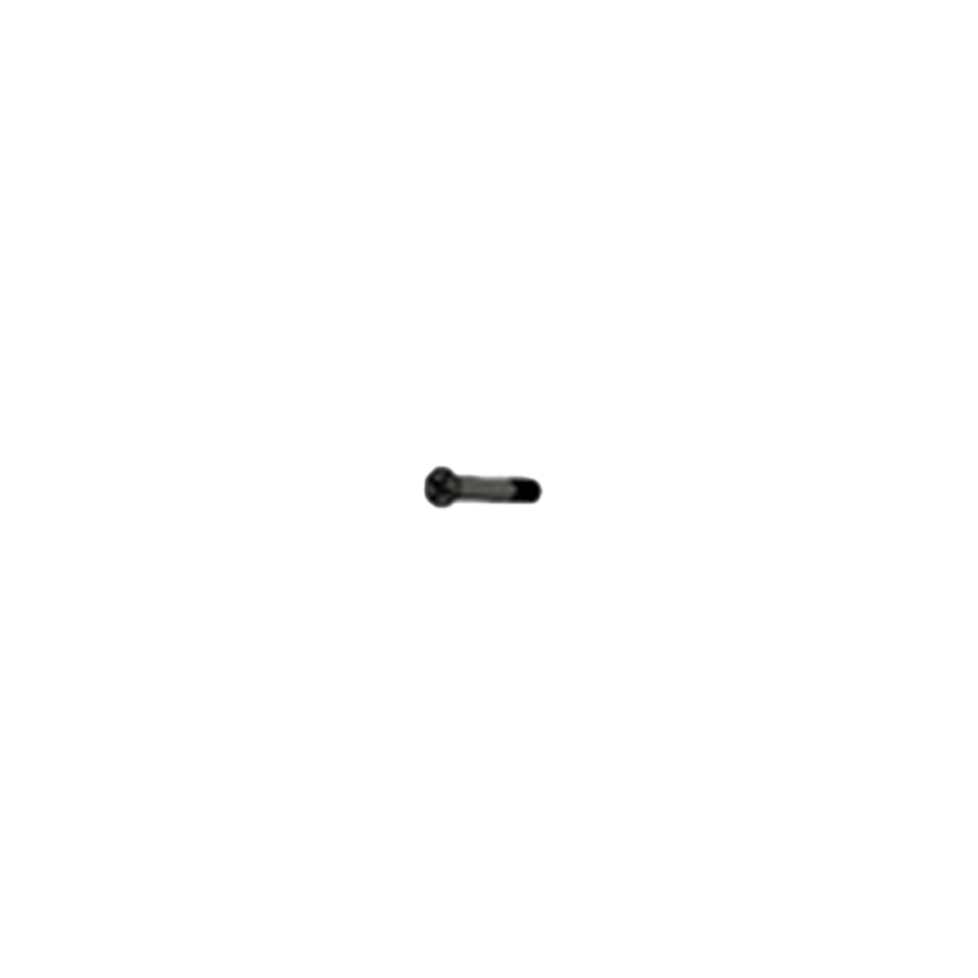 Black screw on a white background
