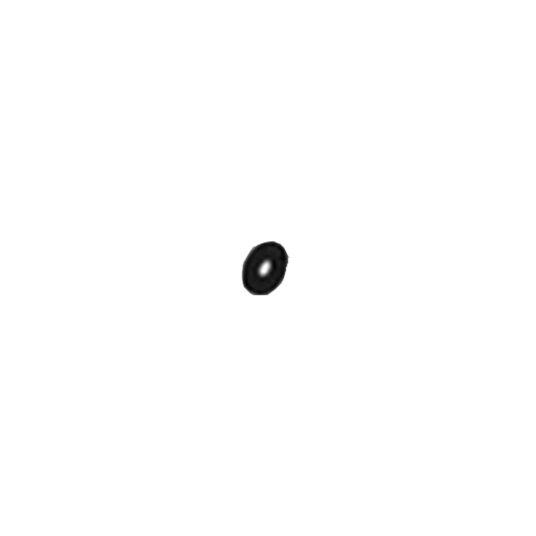 Black oval object on a white background