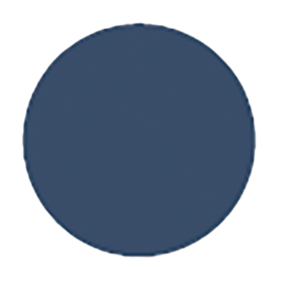 Navy blue circle on a white background