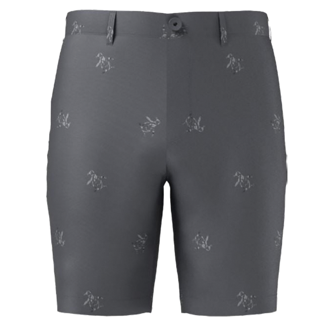 Gray shorts with small patterns on a white background