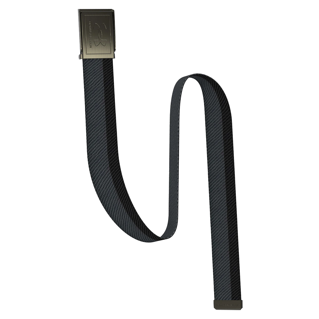 Black belt with a gold buckle on a white background