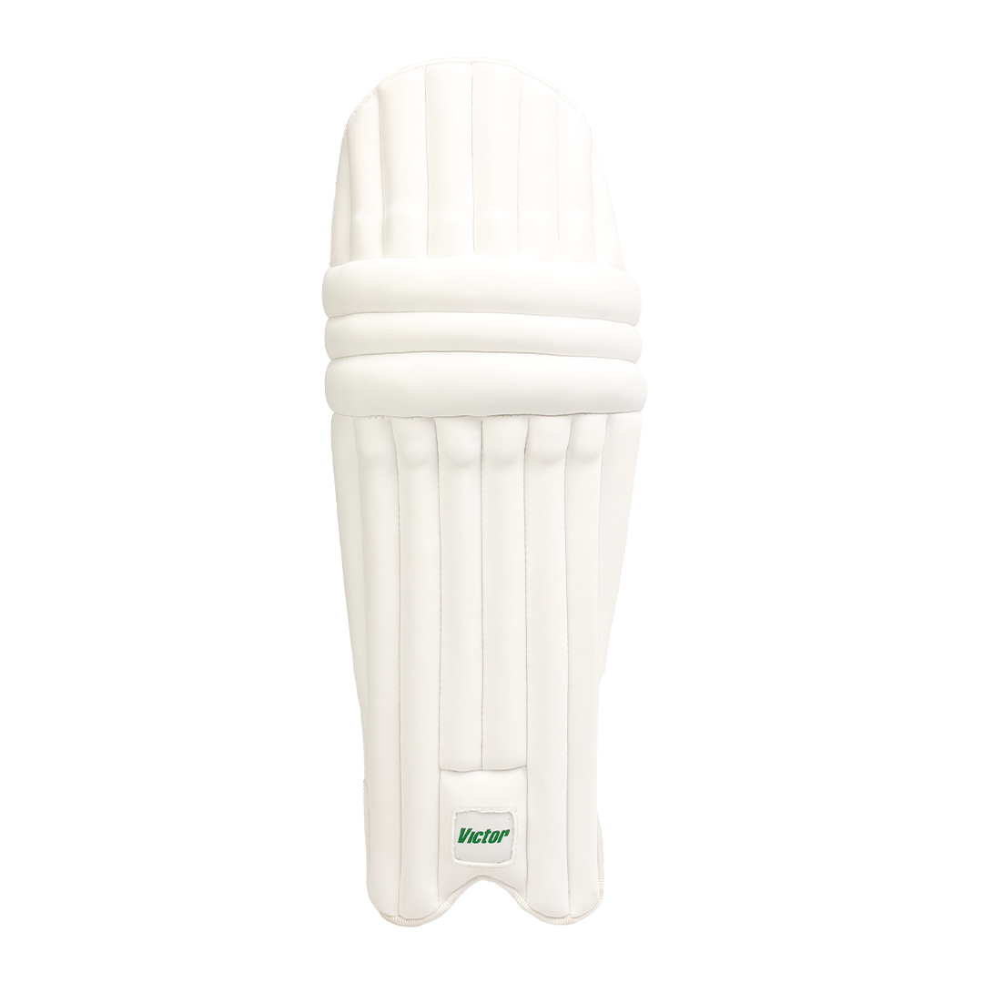 Victor Cricket Batting Pads Academy