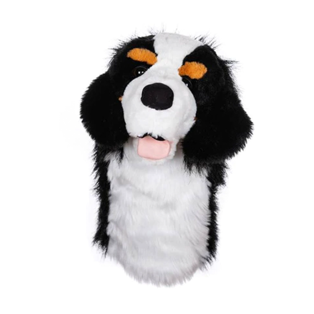 Daphne's Burnese Mountain Dog