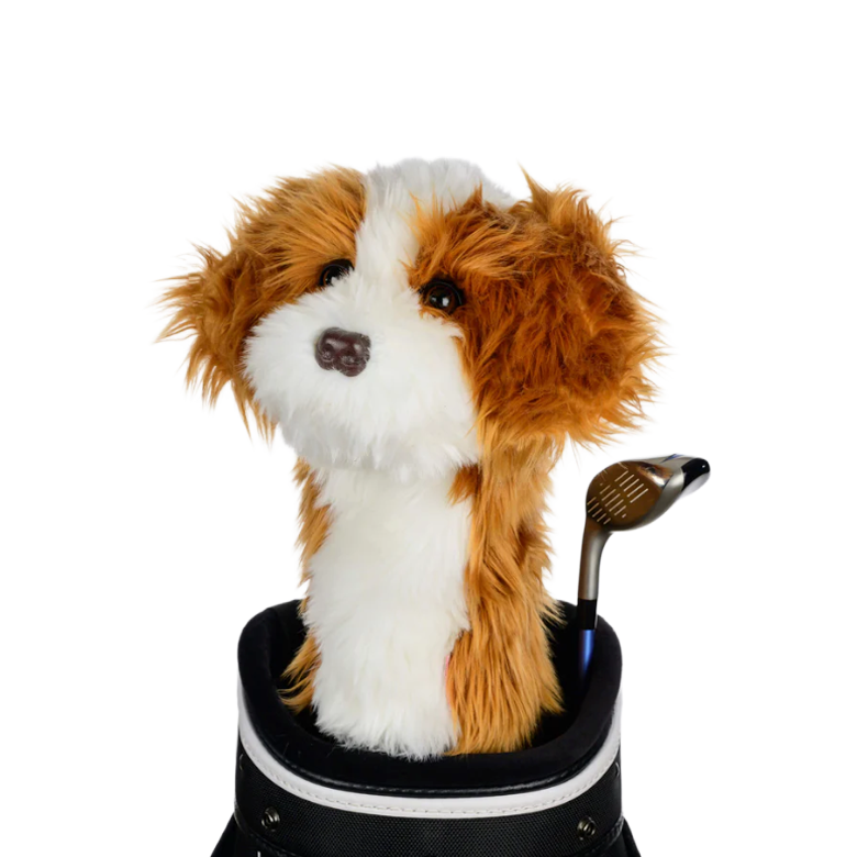 Daphne’s Cavapoo Headcover