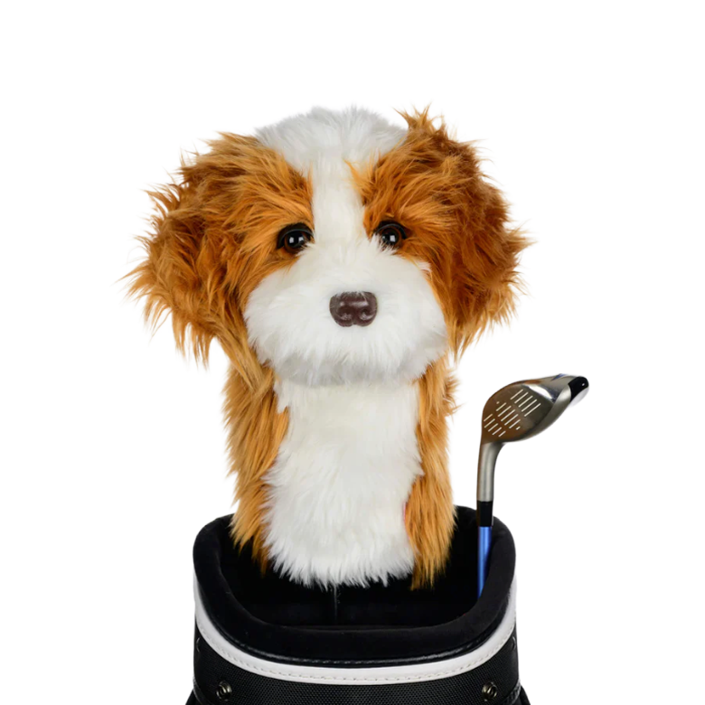 Daphne’s Cavapoo Headcover