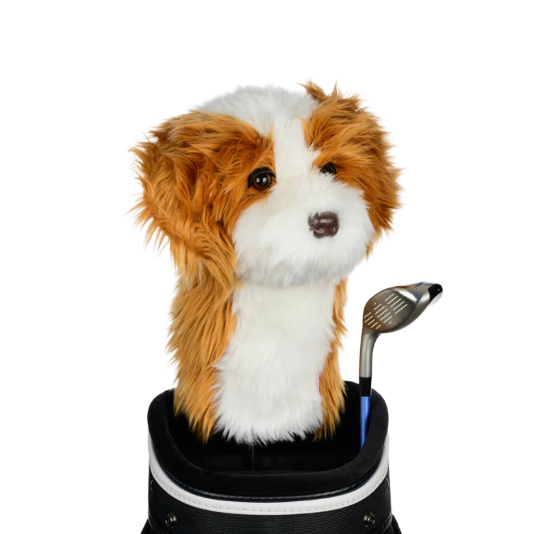 Daphne’s Cavapoo Headcover