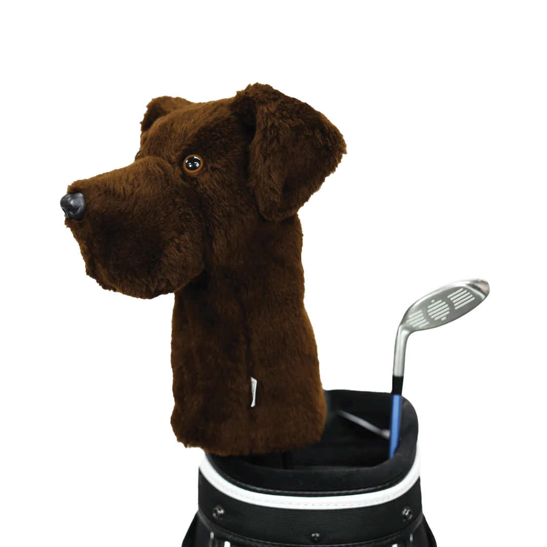 Daphne Chocolate Labrador Driver Cover