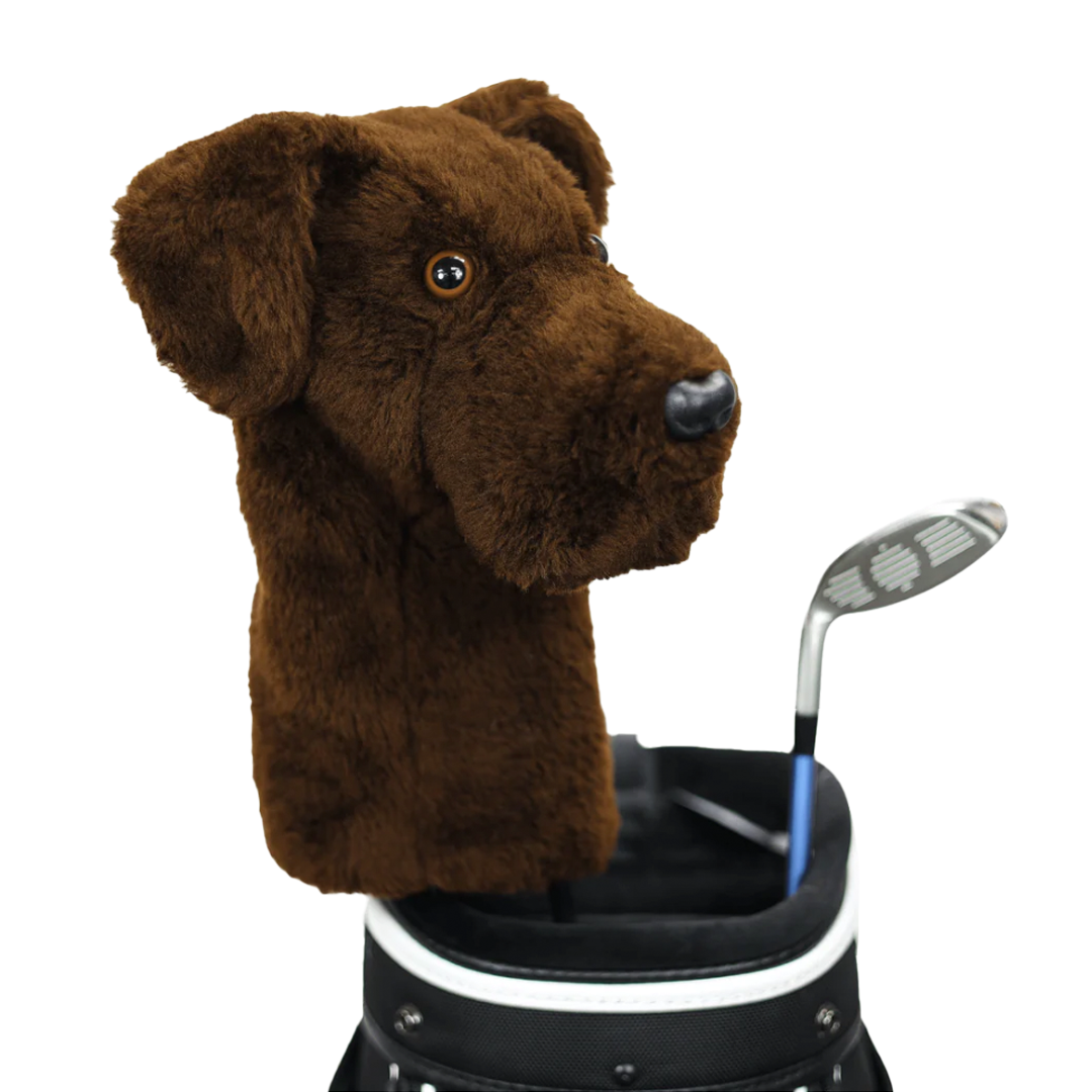 Daphne Chocolate Labrador Driver Cover