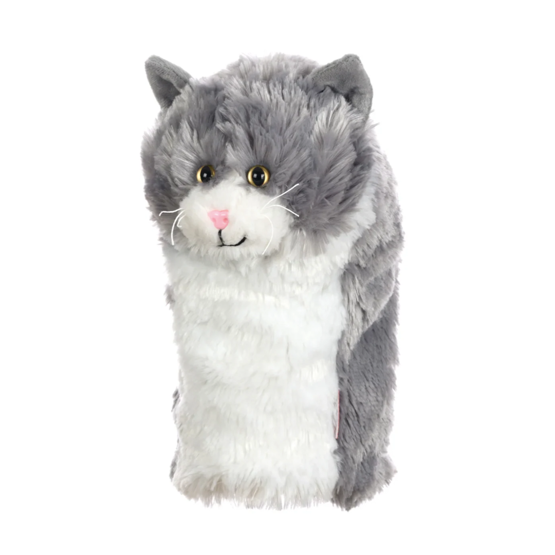 Daphne's Grey & White Cat